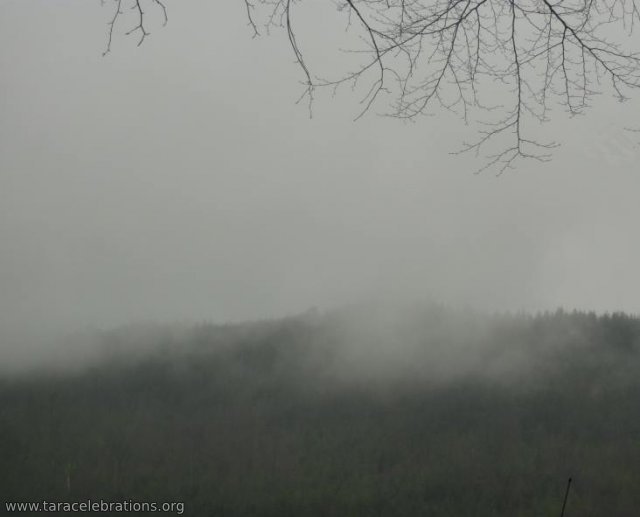 mist rising in ravensdale
