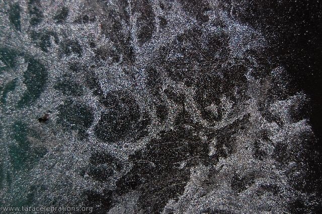 frost patterns3