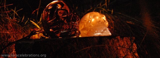 crystal skull spectators