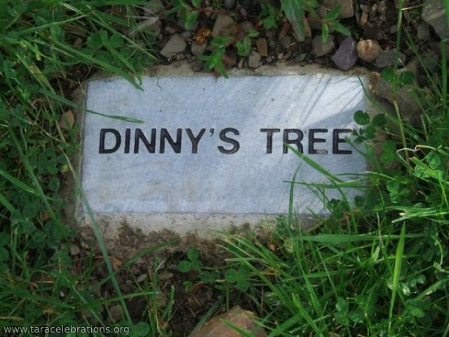 dinnys tree plaque
