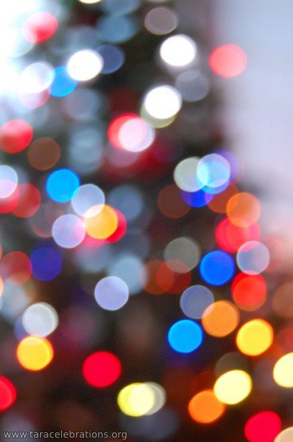 christmas tree lights1
