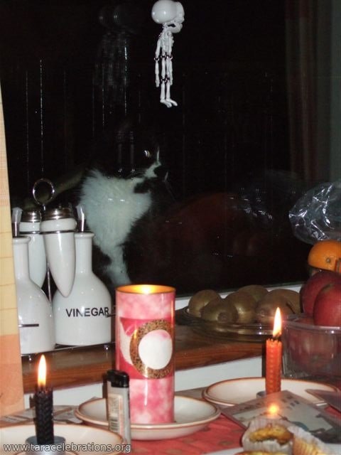 Samhain2014 pixie watches from a favourite perch
